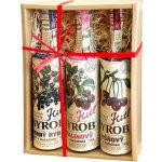 Kitl Smrkáček BIO sirup pro podporu zdraví dýchacích cest 250 ml – Sleviste.cz