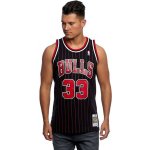 Mitchell and Ness Mitchell & Ness Chicago Bulls #91 Dennis Rodman – Sleviste.cz