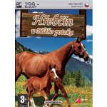 Hřebčín U Bílého potoka – Zboží Dáma