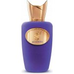 Xerjoff Accento Fragrance parfémovaná voda unisex 100 ml – Zboží Mobilmania