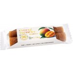 Bioprodukt JK Ovocné trubičky Mango 25 g – Zboží Dáma