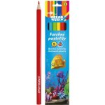 Ocean World RM_47003265 6 ks – Sleviste.cz