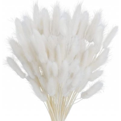 Sušené pampasové trávy 120 ks, dekorace – Zboží Dáma