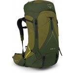 Osprey Atmos AG LT 65l scenic valley/green peppercorn – Hledejceny.cz