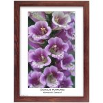 TRADAG Natura 21 x 29,7 - A4 hnědý – Zboží Živě