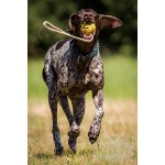 Trixie míč Plovoucí na šňůrce 7 cm/35 cm – Sleviste.cz