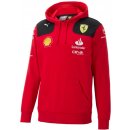 Puma SF TEAM HOODIE 763415-01