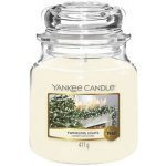 Yankee Candle Twinkling Lights 411 g – Hledejceny.cz