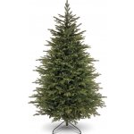 zanapo.cz Smrk Alaska 3D 180 cm – Hledejceny.cz