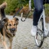Výcvik psů TRIXIE Vodící set na kolo ve tvaru U Vodící set na kolo ve tvaru U UNI