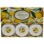 Saponificio Artigianale Fiorentino přírodní tuhé mýdlo Citrón 3 x 100 g – Zboží Dáma