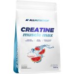 AllNutrition Creatine Muscle Max 1000 g – Zboží Dáma