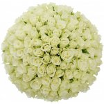 Kytice 100 bílých růží ATHENA 50cm – Zboží Dáma