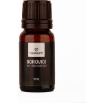 Flagrante vonný olej Borovice 10 ml – Zboží Dáma