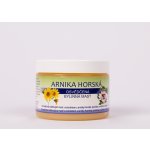 Putorius Arnika horská bylinná mast 150 ml – Hledejceny.cz