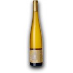 Víno Natural Domin & Kušický Pinot Gris 2024 BIO 13% 0,75 l (holá láhev) – Hledejceny.cz