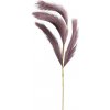 Květina Gasper Pampová tráva 80cm fialová