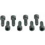 Sada šroubů, setrvačník SACHS 1874 000 031 | Zboží Auto