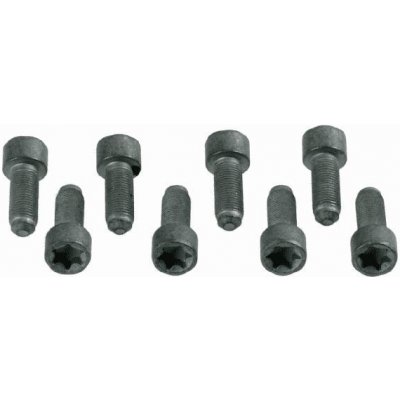 Sada šroubů, setrvačník SACHS 1874 000 031 | Zboží Auto