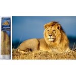 Norimpex Diamantové malování Lví majestát 30 x 40 cm – Zbozi.Blesk.cz