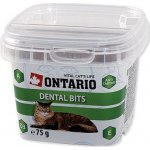 Ontario Snack Cat denta bits 75 g – Hledejceny.cz
