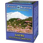 Everest Ayurveda GAURI Kandidóza a kožní plísně 100 g – Hledejceny.cz