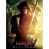 Hra na PC The Chronicles of Narnia Prince Caspian