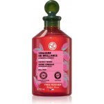 Yves Rocher Malinový ocet pro lesklé vlasy 150 ml – Hledejceny.cz