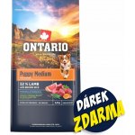 Ontario Puppy Medium Lamb & Brown Rice 6,5 kg – Hledejceny.cz