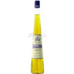 Galliano Vanilla 30% 0,5 l (holá láhev) – Sleviste.cz