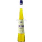 Galliano Vanilla 30% 0,5 l (holá láhev) – Hledejceny.cz