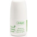 Ziaja Olivové listy dámský deodorant roll-on 60 ml