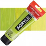 Amsterdam Standard akrylová barva 621 Olive Green Light 250 ml – Hledejceny.cz