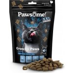 Pawsome! Crunchy Paws s lososem 150 g – Sleviste.cz