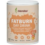 Blendea Fatburn Day Drink 100 g – Zboží Dáma