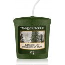 Yankee Candle Evergreen Mist 49 g