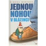Jednou nohou v blázinci - Monyová Simona – Zbozi.Blesk.cz