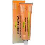 Diafarm Urolsyn pasta pro psy 100 g – Zbozi.Blesk.cz