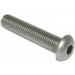 ISO 7380 4x8 A2 TORX SECURITY Šroub se zploštělou půlkulatou hlavou a vnitřní TORX s čepem, bezpečnostní, nerez – Hledejceny.cz