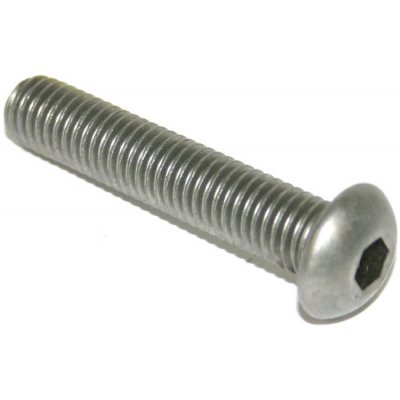 ISO 7380 4x8 A2 TORX SECURITY Šroub se zploštělou půlkulatou hlavou a vnitřní TORX s čepem, bezpečnostní, nerez – Hledejceny.cz