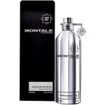 Montale Fruits Of The Musk parfémovaná voda unisex 100 ml – Hledejceny.cz