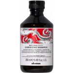 Davines Naturaltech Energizing Shampoo 250 ml – Zbozi.Blesk.cz