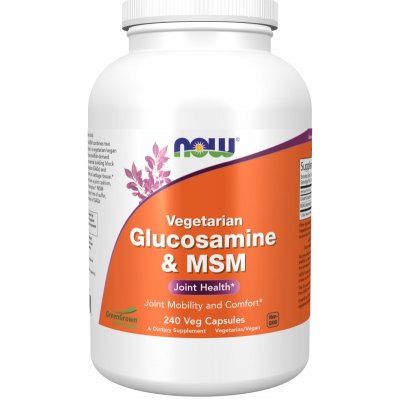 Now Foods NOW Glucosamine & MSM Vegetarian 240 rostlinných kapslí – Zboží Mobilmania