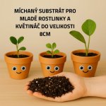 Mix č. 6 Pro mini rostlinky – Zboží Dáma