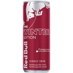 Red Bull Winter edition 250ml – Zboží Dáma