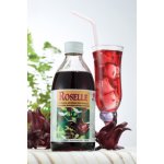 Dxn Roselle džus 285 ml – Zboží Dáma