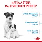 Royal Canin Starter Mother&Babydog Mini 1 kg – Hledejceny.cz