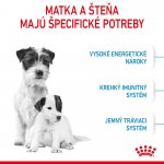 Royal Canin Starter Mother&Babydog Mini 1 kg – Sleviste.cz