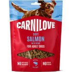 Carnilove Dog Soft Snack Salmon with Thyme 200 g – Hledejceny.cz