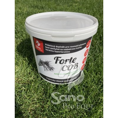 Sano Pro EQUI Živá kvasinková kultura Forte COB bez biotinu 5 kg – Hledejceny.cz